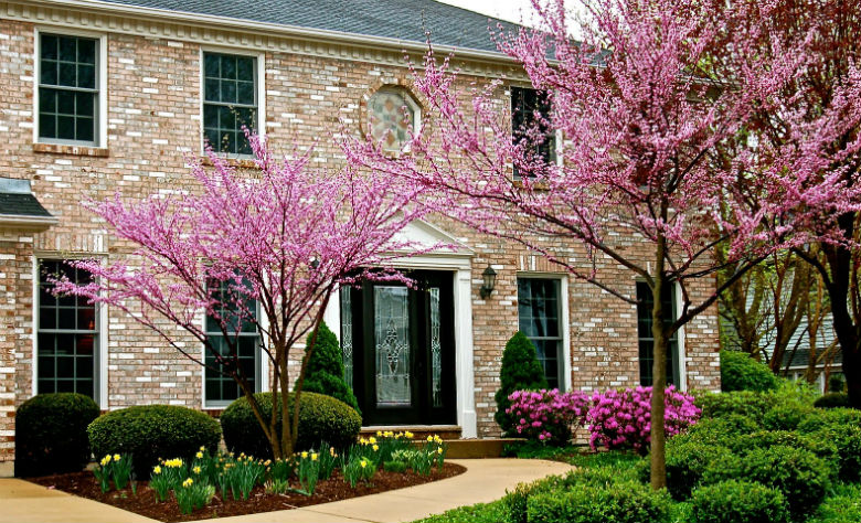 How to make sure you sell your house this spring?