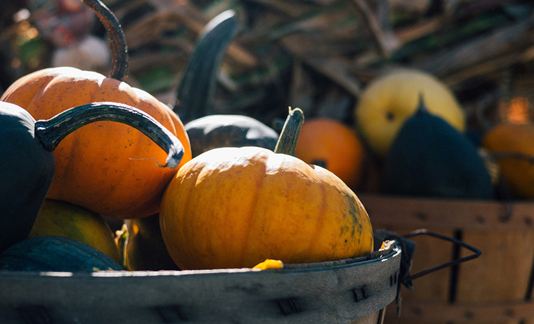 pumpkin green garden