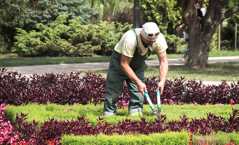 landscaper