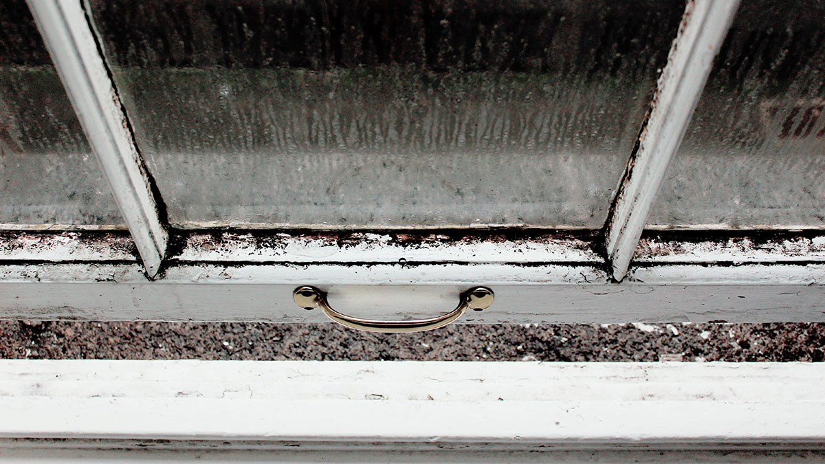 Tips and tricks for waterproofing around the house Tour Wizard