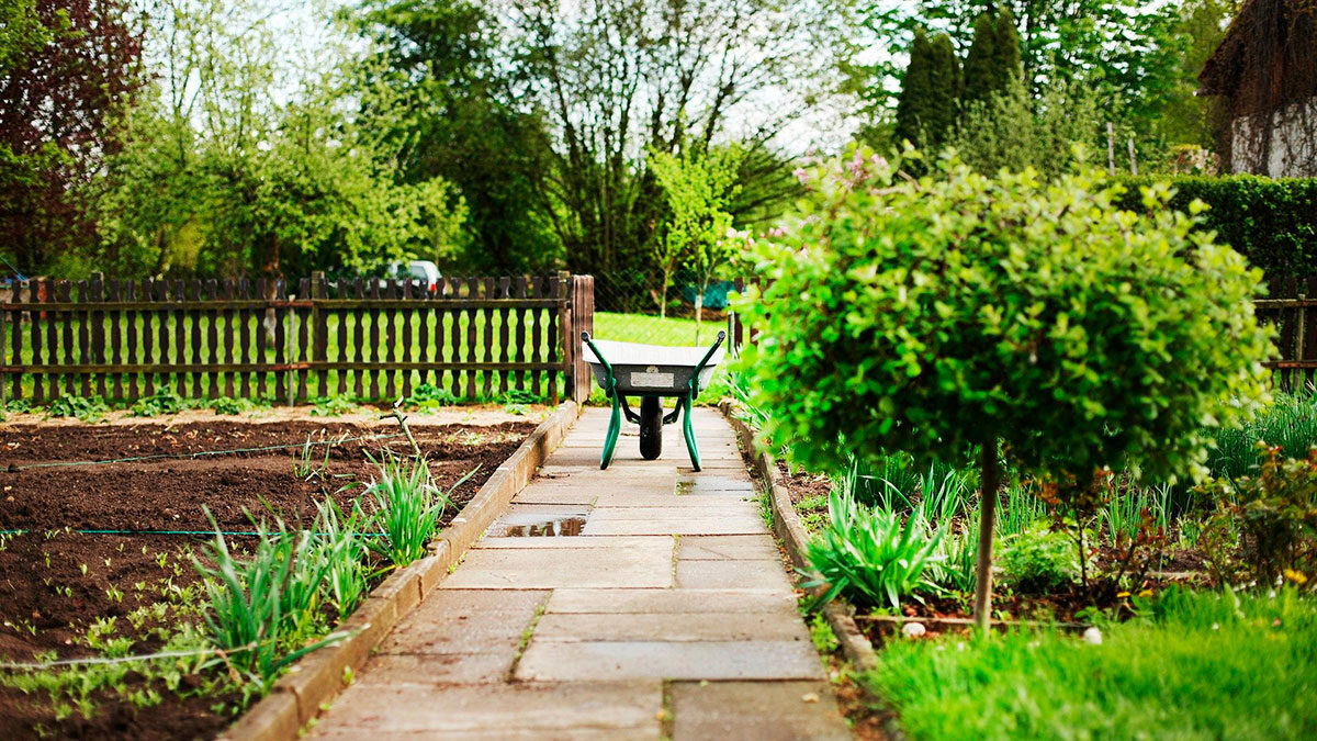 Why a green landscape is essential to your property