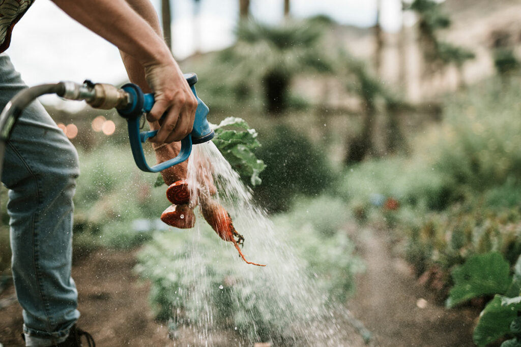 gardener