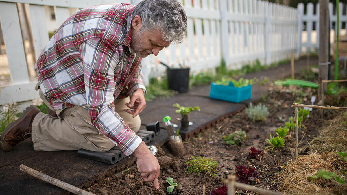 Essential tools for every aspiring gardener